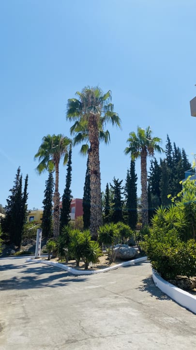 Gartenanlage alltoura Club Hotel Porto Angeli Beach Resort