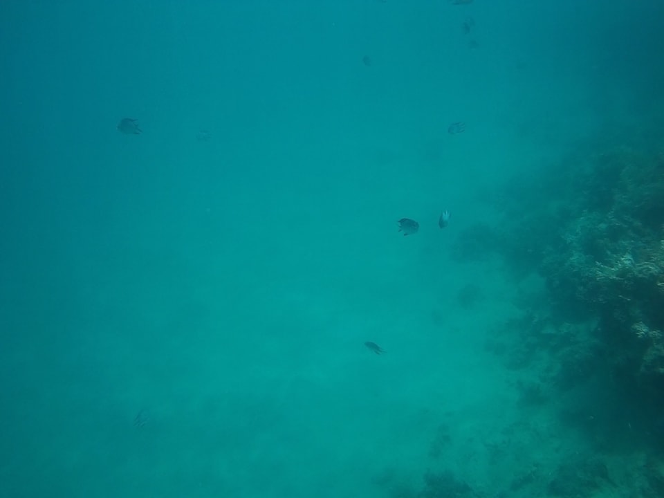 Sport & Freizeit Steigenberger Coraya Beach - Adults only