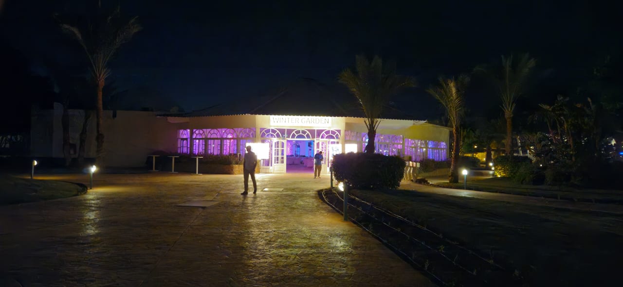 Sonstiges Desert Rose