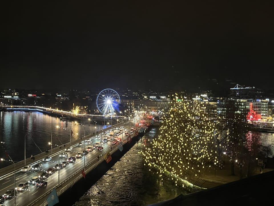 Ausblick Hotel Four Seasons Geneva