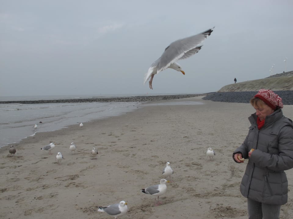 Besuch Strandhotel Georgshöhe