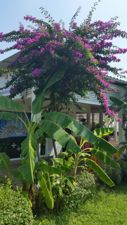 Gartenanlage Bella Resort & Spa