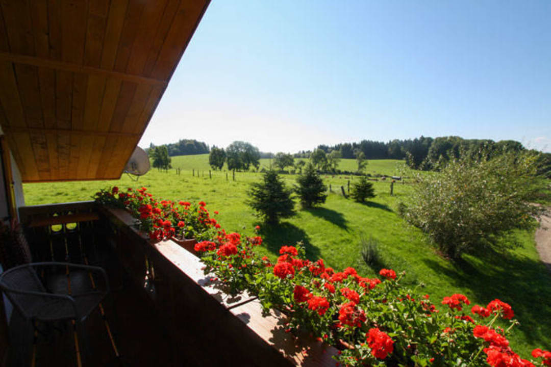 Ausblick aus der Hüterbergwohnug Bauernhof Zum Mesner