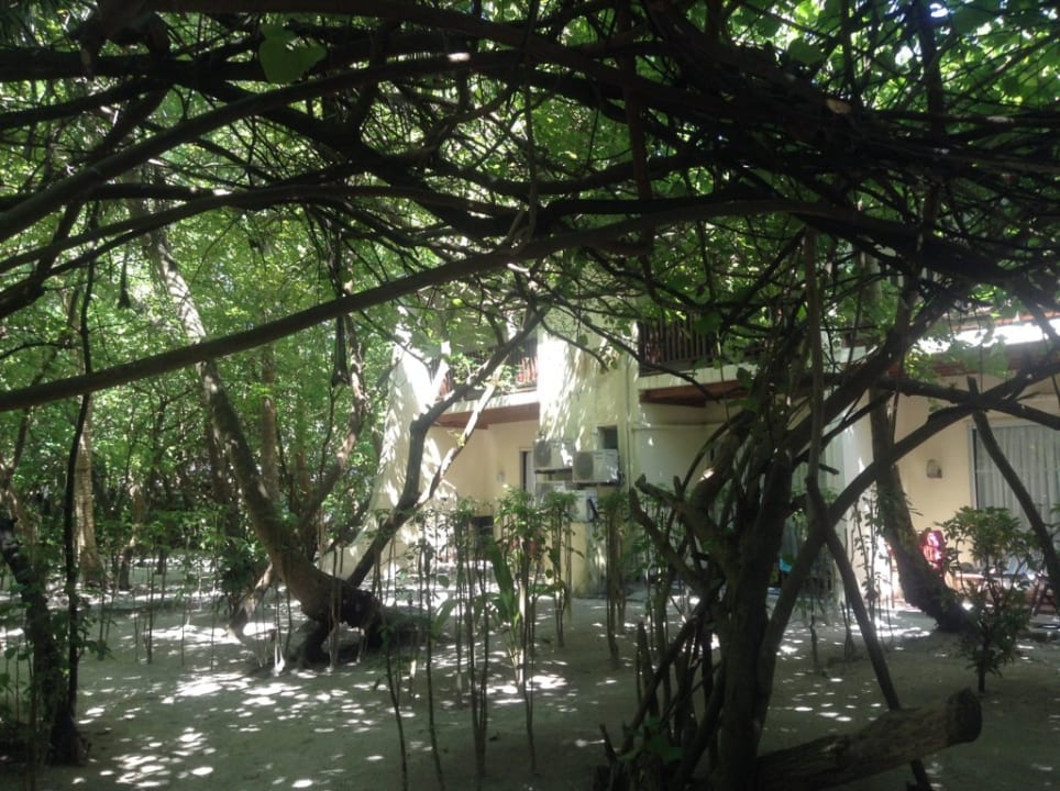 Sonstiges Biyadhoo Island Resort