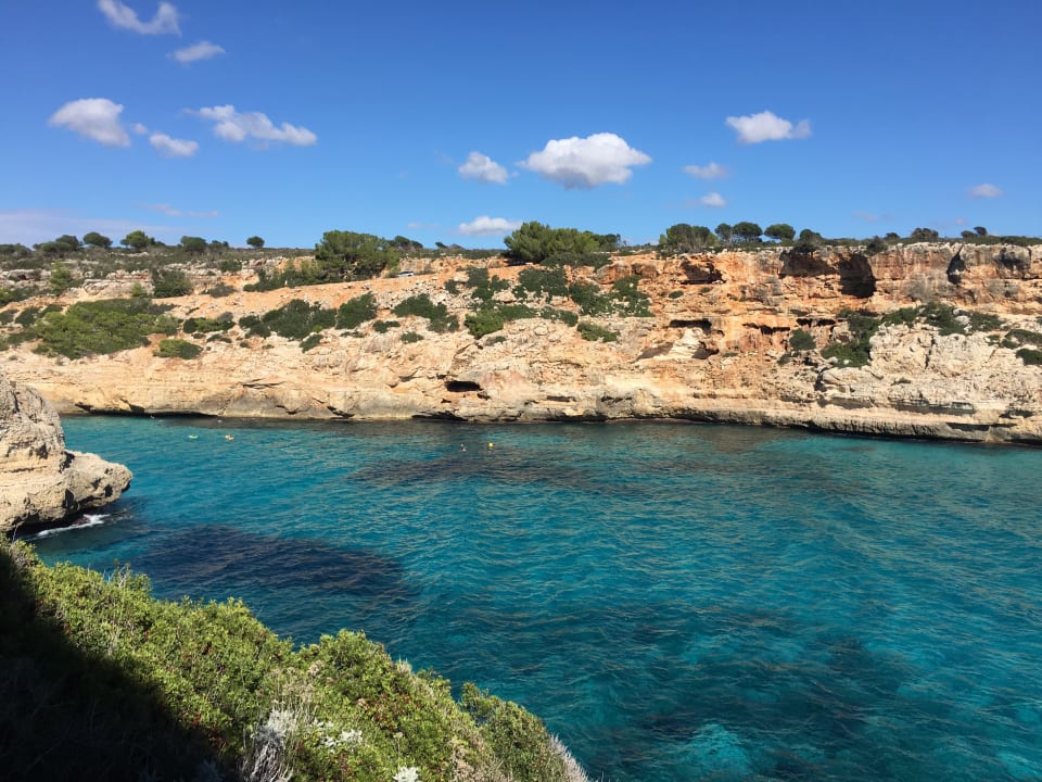 Strand Alua Calas de Mallorca Resort