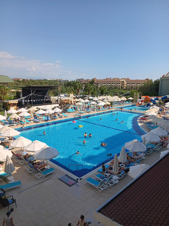 Pool Side Aluna Hotel