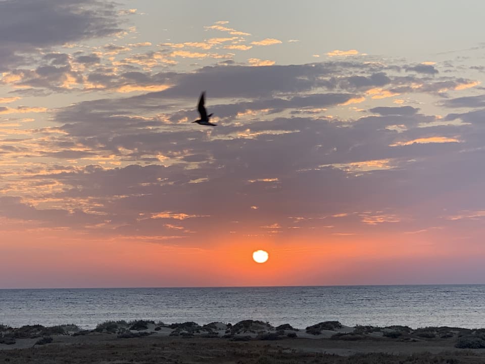 Außenansicht Shams Alam Beach Resort