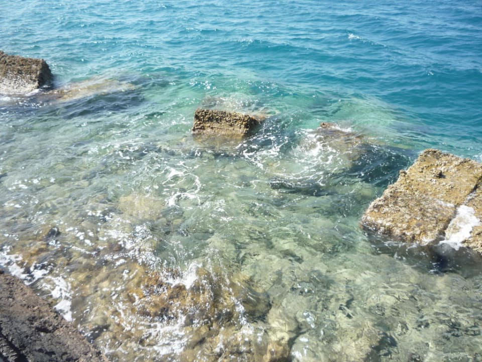 Glasklares Wasser Pickalbatros Aqua Park Resort - Hurghada