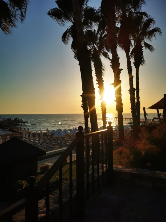 Ausblick Arum Barut Collection