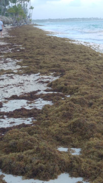 Zimmer Hotel Grand Palladium Palace Resort, Spa & Casino