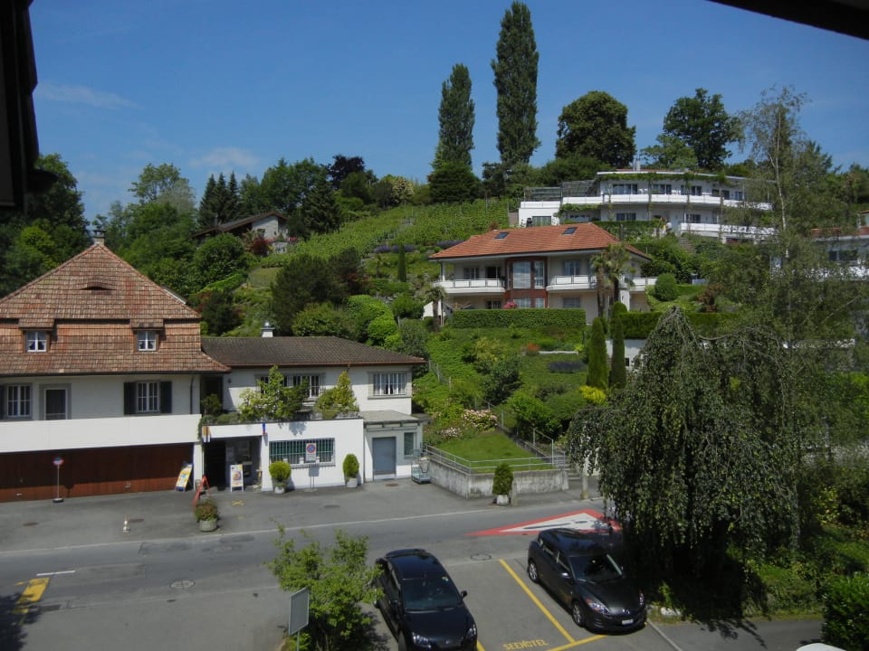 Das ist der beschriebene Bergblick Seehotel Kastanienbaum