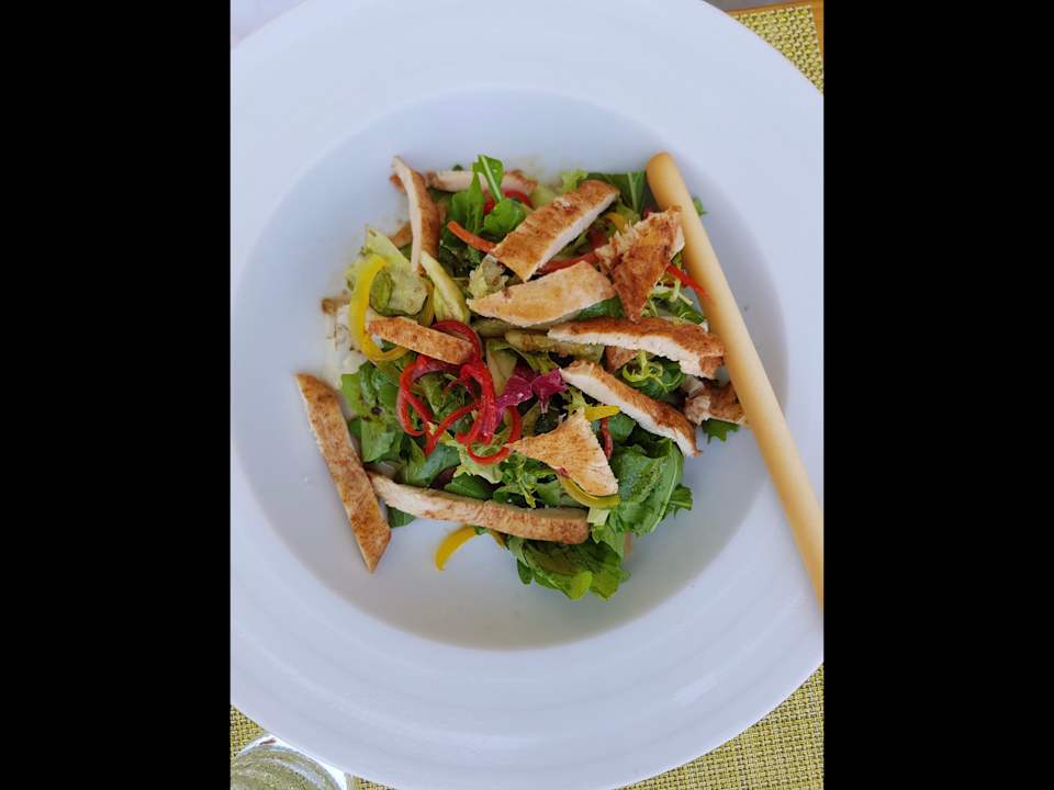 Gastro Acanthus Cennet Barut Collection