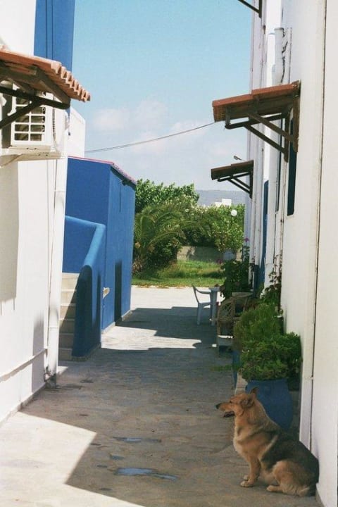 Immer bewacht! Casa Di Notos Beach Hotel