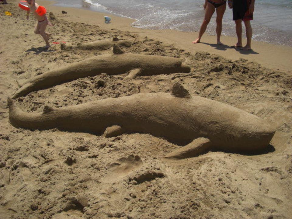 Hai aus Sand Hotel Royal Dragon