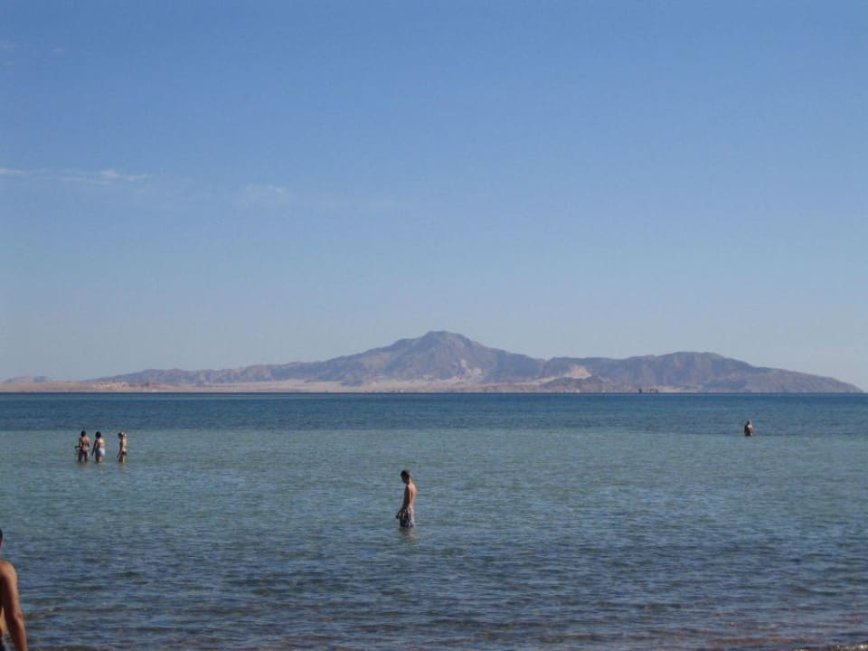 Blick auf Insel Tiran Hotel Jaz Mirabel Park & Club