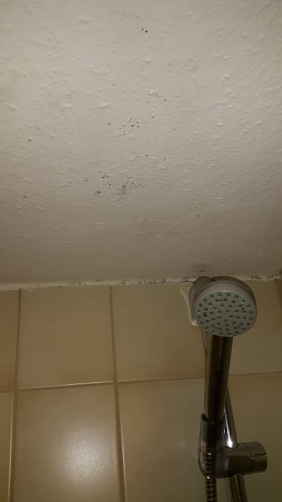 Zimmer Hotel & Gasthof Hanselewirt