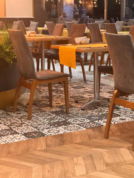 Gastro Annabella Diamond Hotel & Spa