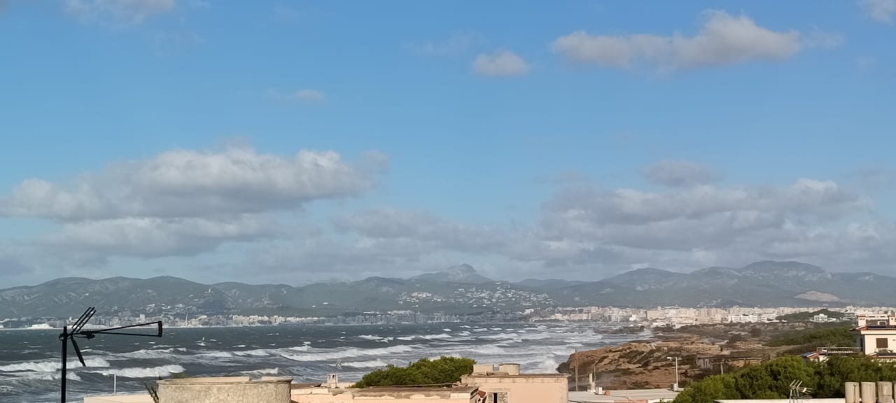 Zimmer AluaSoul Palma