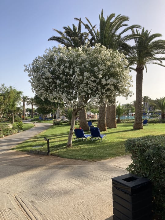 Gartenanlage Anissa Beach & Village