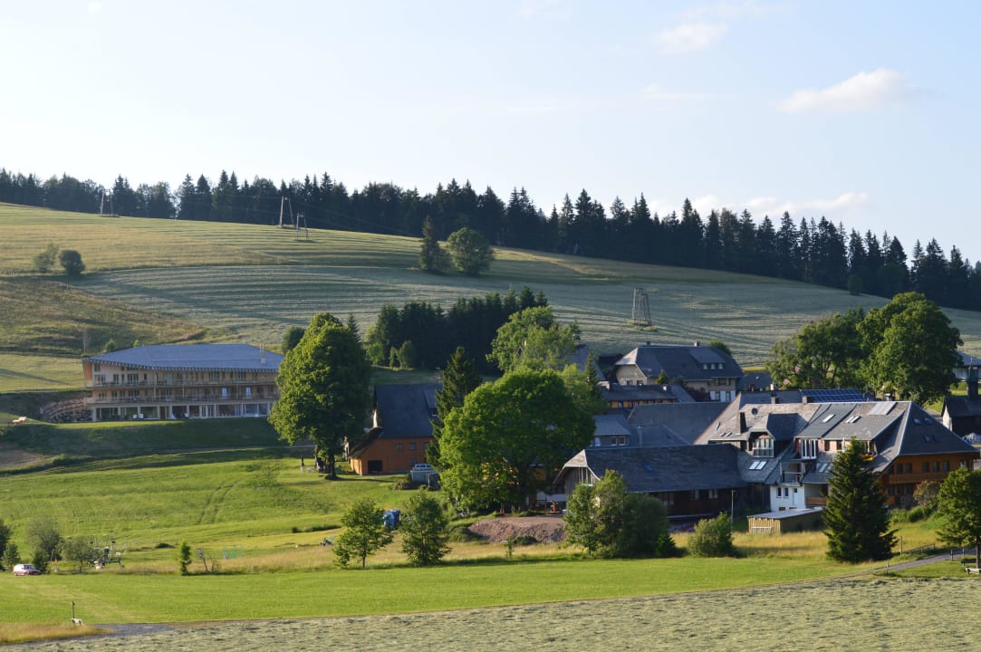 Landschaft ums Hotel derWaldfrieden naturparkhotel