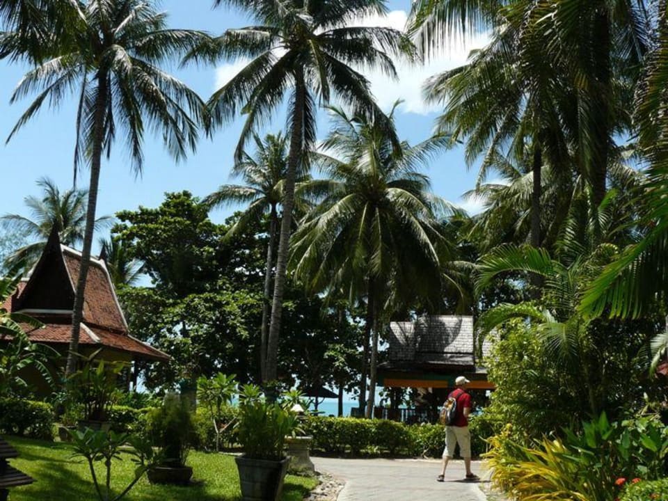 Gartenanlage - ein Traum! The Fair House Beach Resort