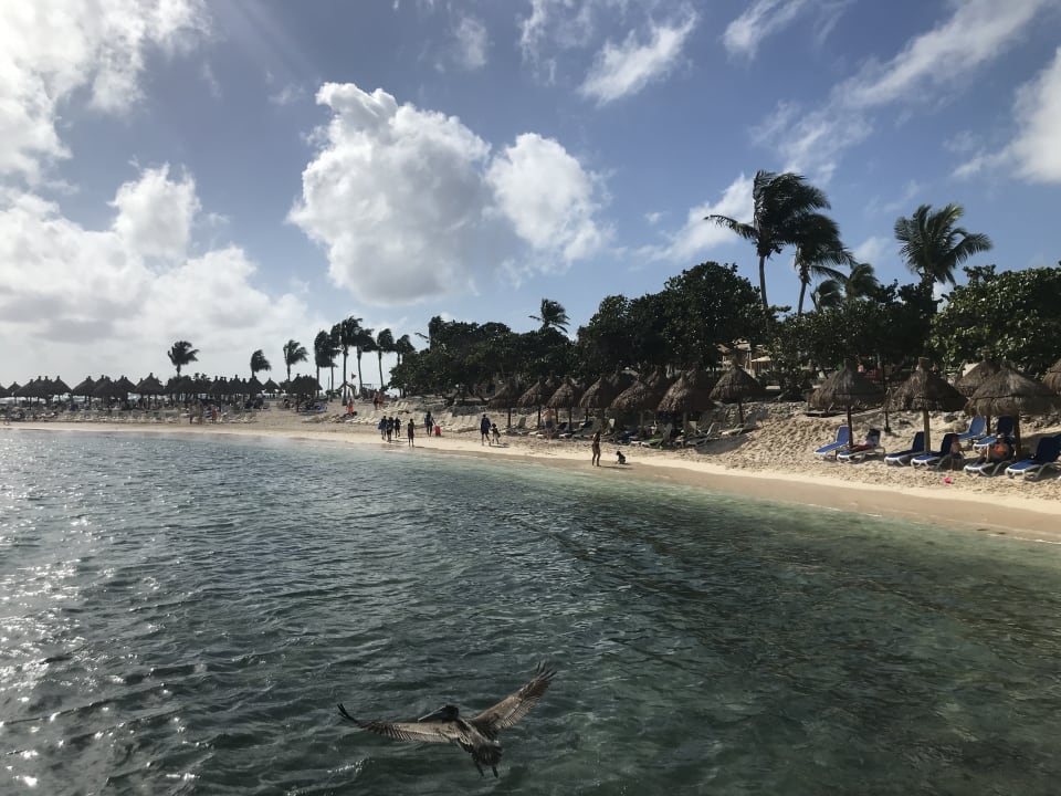 Strand Bahia Principe Luxury Akumal