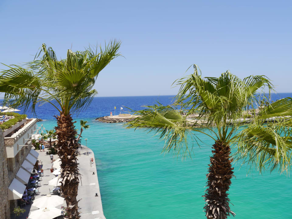 Palmen Pickalbatros Citadel Resort