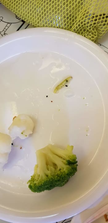 Gastro Ulusoy Kemer Holiday Club