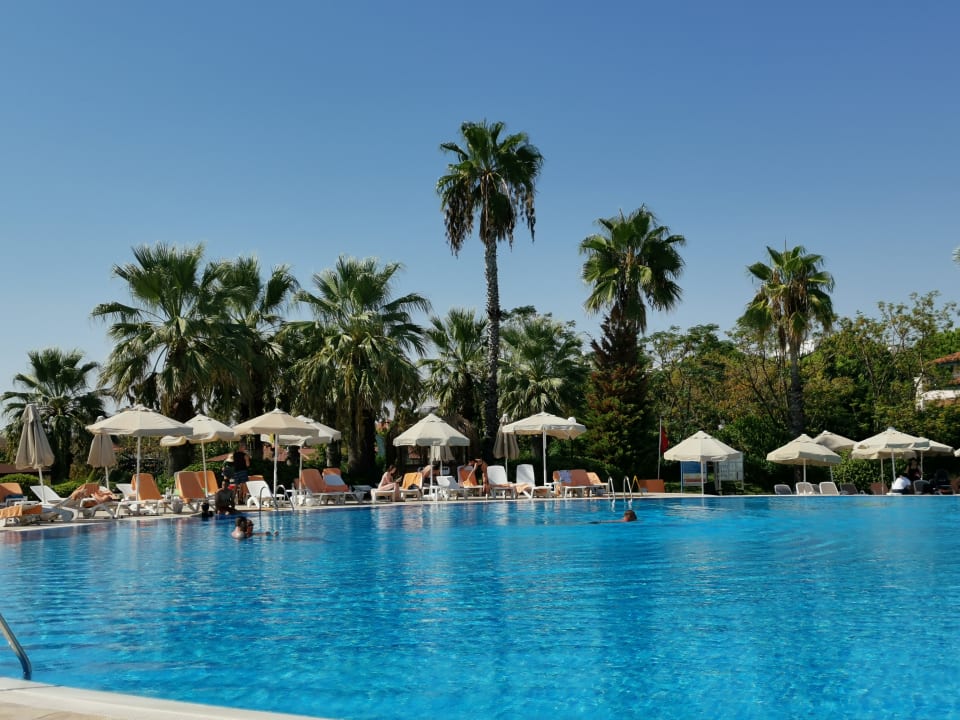 Pool Starlight Resort Hotel