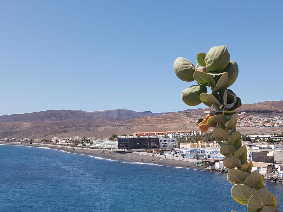 Außenansicht R2 Bahía Playa Design Hotel & Spa - Adults Only