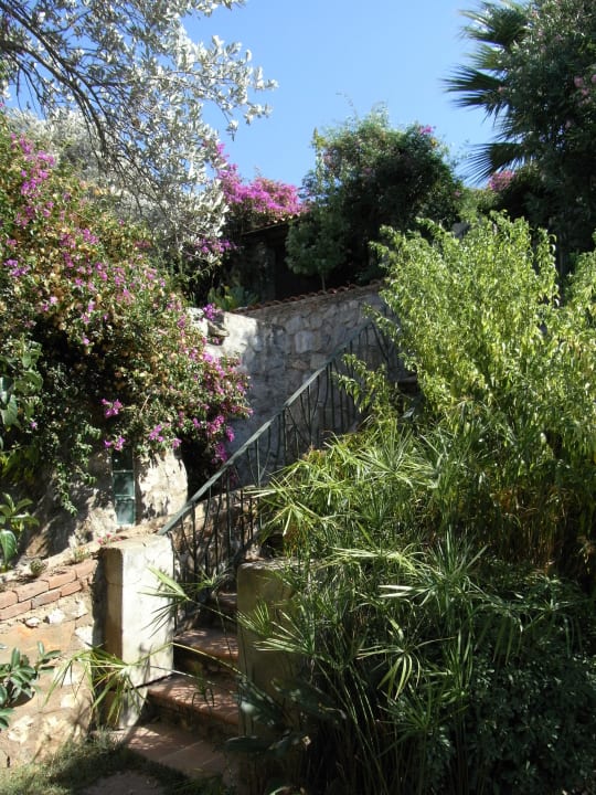 Immer blüht etwas Hotel & Art Antik Zeytin