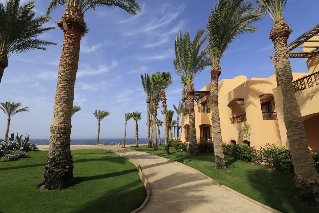 Gartenanlage Steigenberger Coraya Beach - Adults only