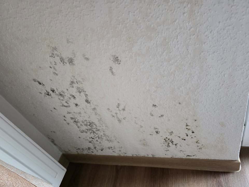 Zimmer Center Parcs Park Bostalsee