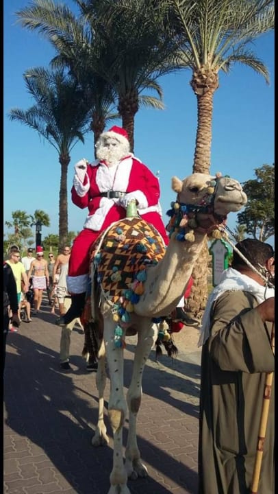 Xmas eve Steigenberger Aqua Magic