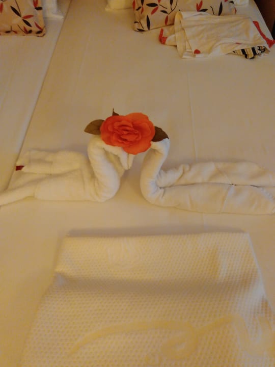 Zimmer FUN&SUN Smart Hane Sun Hotel