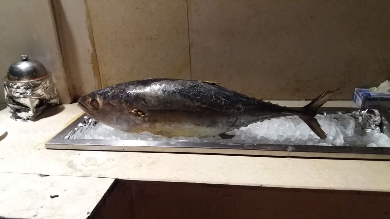 Gastro Jaz Makadi Oasis Resort