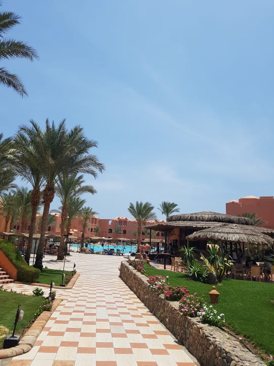 Pool Jaz Makadi Oasis Resort