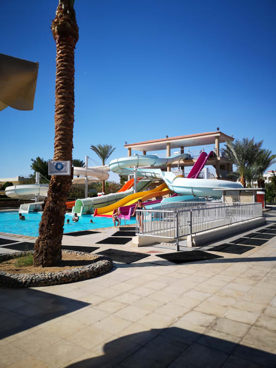 Sport & Freizeit Desert Rose