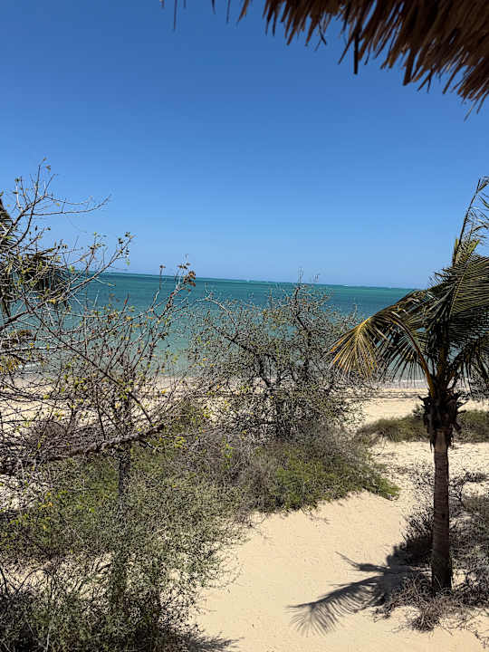 Ausblick Hotel Le Paradisier