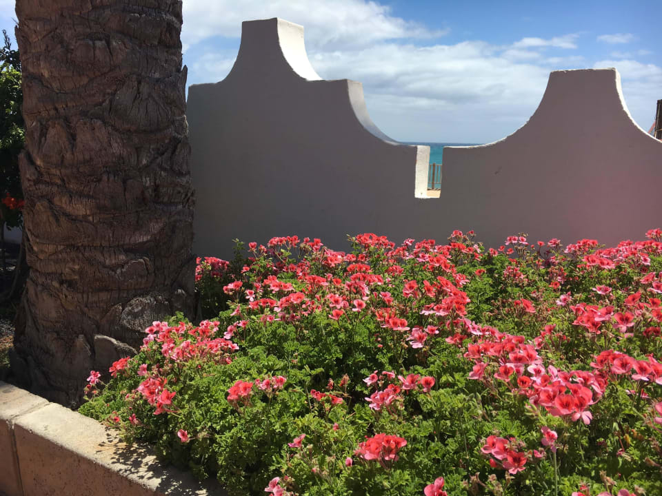 Herrlicher Blick aus der Strandbar. SBH Costa Calma Beach Resort