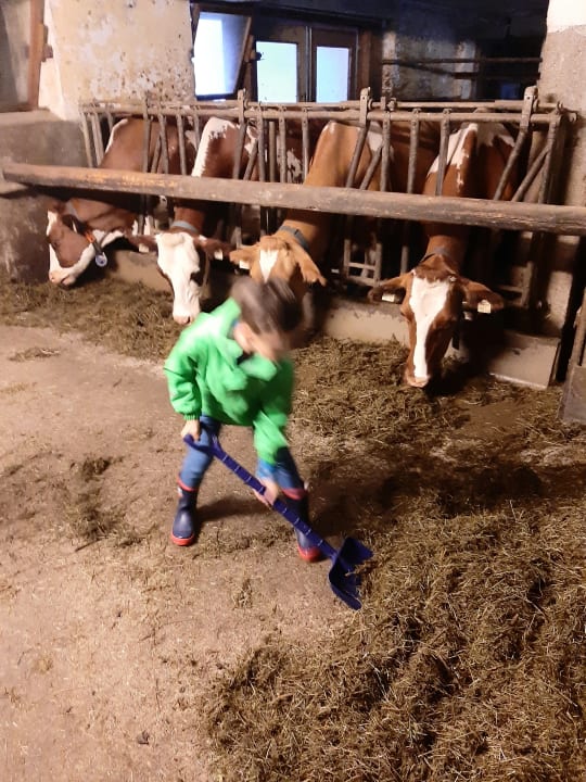 Sonstiges Gasthaus Bauernhof Peilsteingut