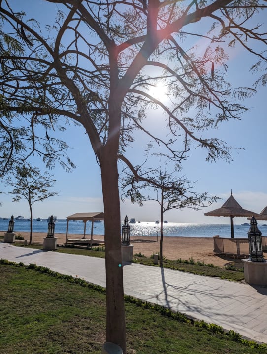 Strand The Grand Palace - Adults only