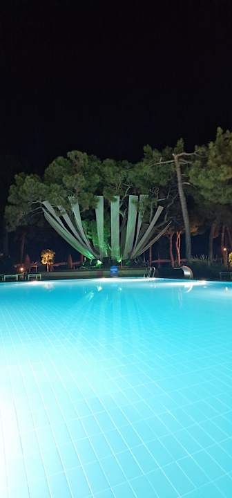 Pool ROBINSON ÇAMYUVA