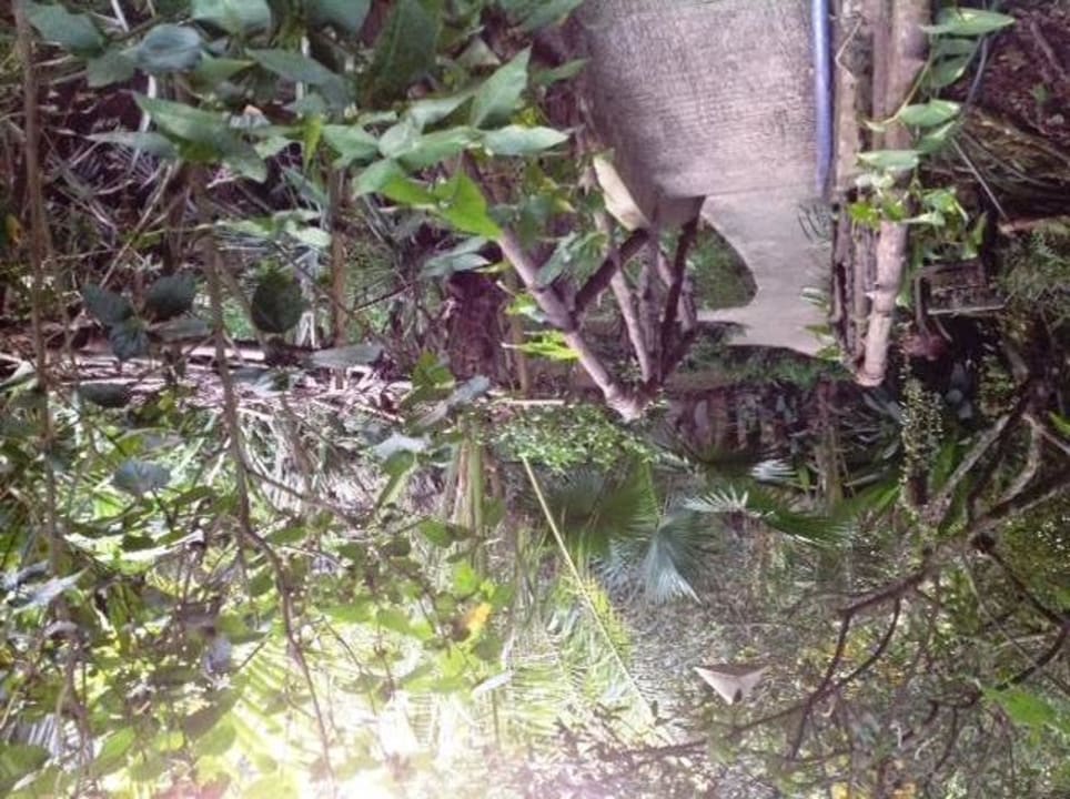 Widok z domku Jardin du Mekong Homestay