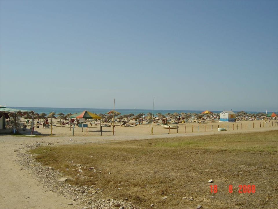 Hotel-Strand Hotel Sunnydays L'Albatros/Albatros