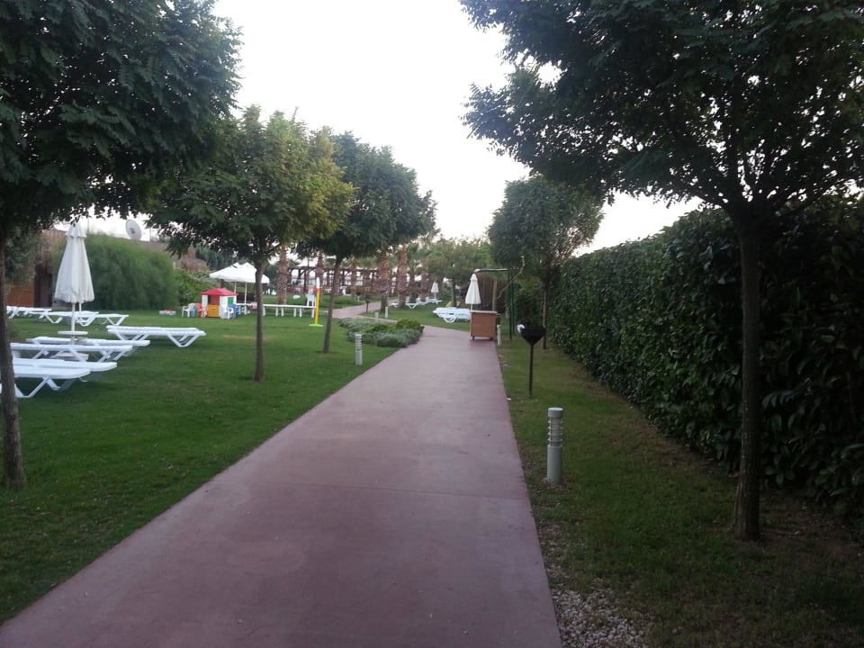 Weg zum Strand Saturn Palace Resort Hotel