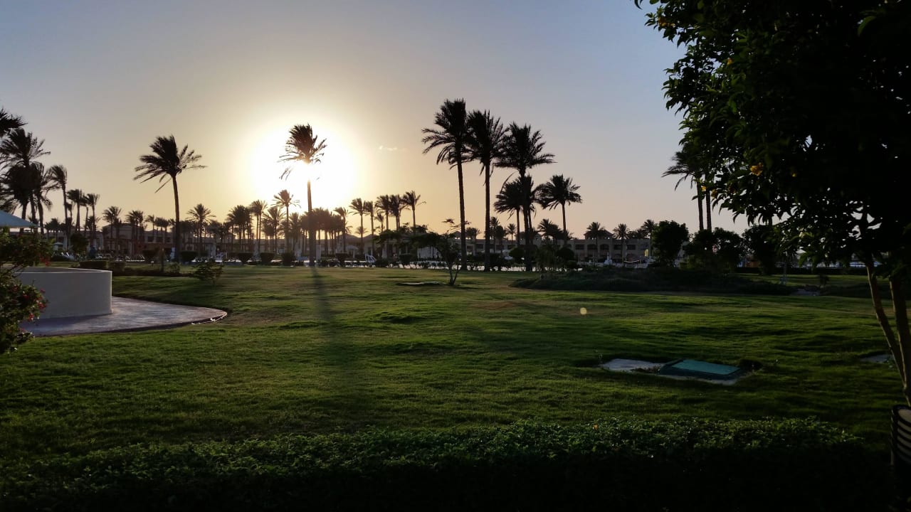 Alles schön grün und gepflegt Cleopatra Luxury Resort Makadi Bay