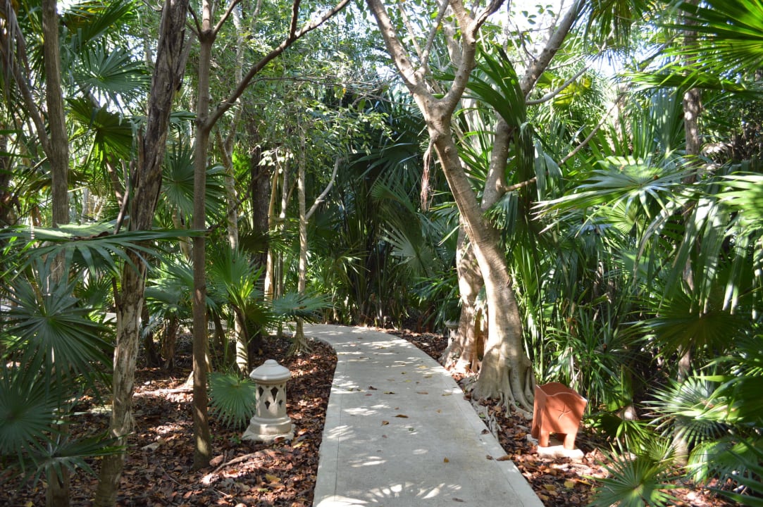 Weg zur Rezeption Iberostar Waves Paraiso Beach