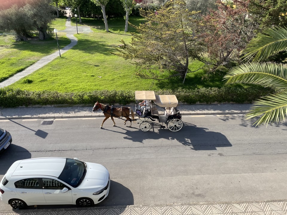 Ausblick Alcudia Garden Aparthotel