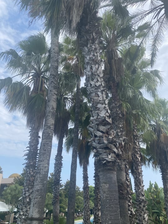 Gartenanlage Gloria Serenity Resort